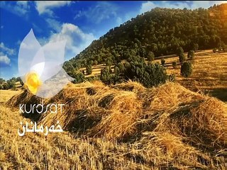 درامای کچی پاشا ئه‌لقه‌ی 61