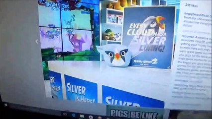 Angry Birds New Silver plush!!!