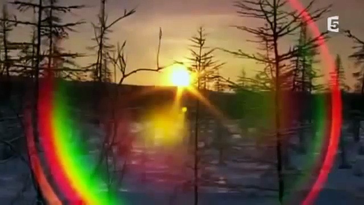 documentaire - Le Mammouth Des Neiges  - National Geographic Family HD