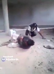 جب ٹٹوں پہ ڈنڈا پڑتا ہے تو کیسا لگتا ہے، دلچسپ ویڈیو