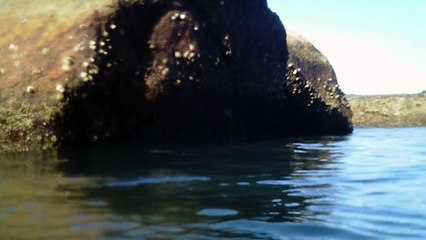 Rumo ao  Arquipélago de Marcellus, Ubatuba, SP, Brasil