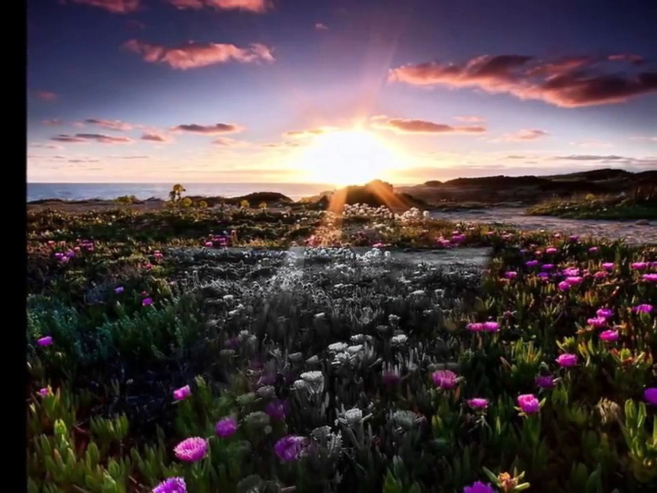 ♫ موسيقي أجنبية رومنسية هادئة ♫ جميلة جدا 2015 ♡♫ beautiful music romanci ♫