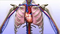 Wat is angina pectoris?
