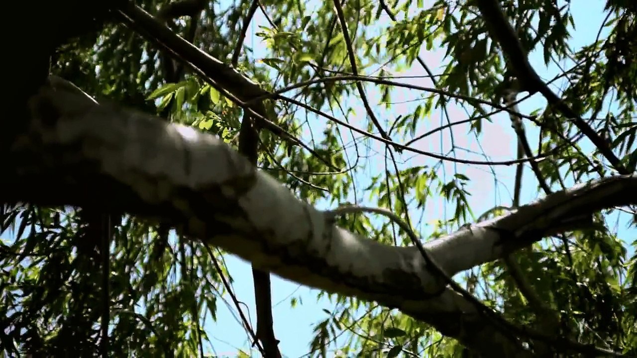 Canon 5D on DIY Camera Slider - WOW