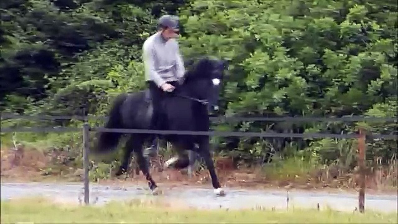 Kalmar frá Efri-Raudalaek - Training Juni 2015 -