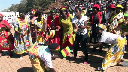 Mugabe rages against killing of Cecil the lion