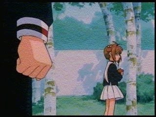 Amv sakura et lionel
