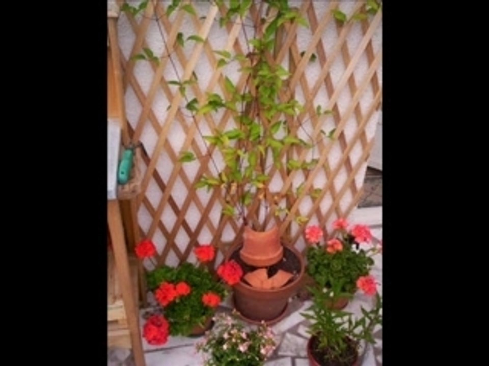 Mon jardin