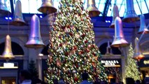 Christmas in Las Vegas: Christmas Garden at the Bellagio Conservatory