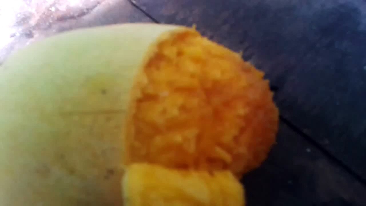 mango worm