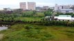 Cox's Bazar grass land and hotels