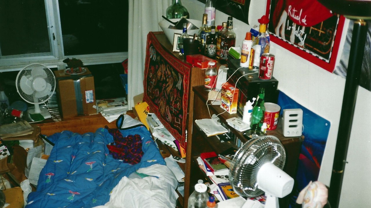 love at first site: the web in 1993 - chapter 2/8 - overshare: the links.net story
