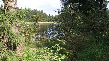 Impressionen aus dem Urlaub mit Frau und Hund