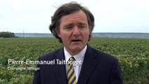 Pierre-Emmanuel Taittinger (Champagne Taittinger)