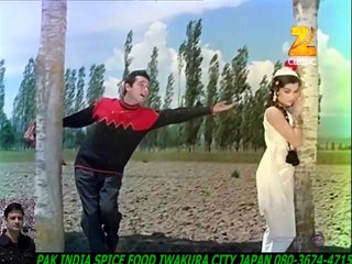 Roka Kai Baar-Mohd Rafi_Asha Bhosle+HD スパイスハラルフード　岩倉市 ジャパンjapan halal food spice