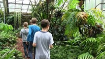 Schulpraktische Studien //  Grüne Schule Flora im Botanischen Garten Köln