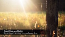 Breathing Meditation | UCLA Mindful Awareness Research Center