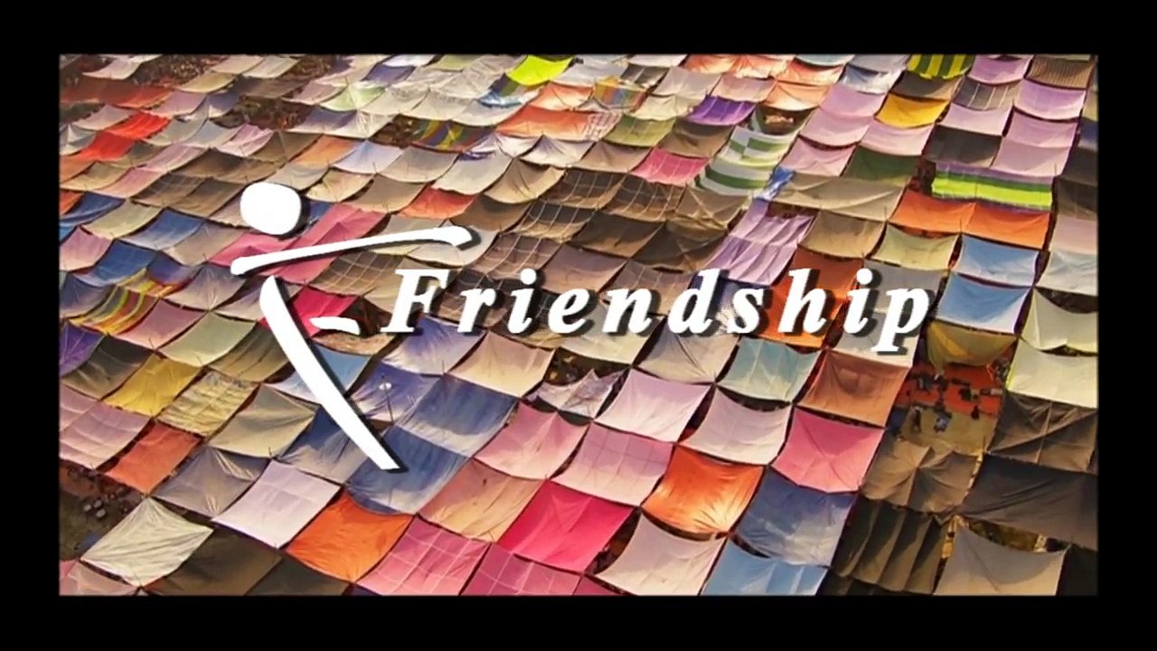 Friendship Overview