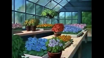 Donald Duck Donald applecore cartoons for kids