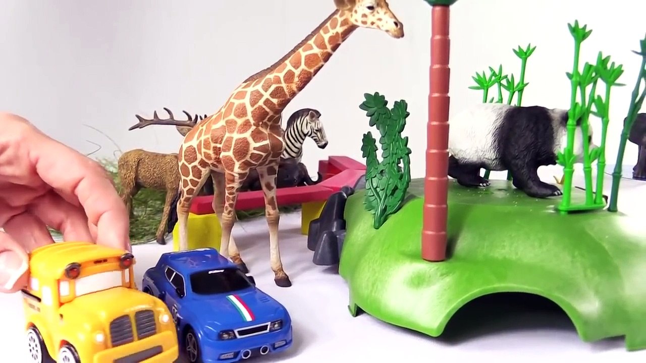 ANIMAL RACE!! Bussy & Speedy's ZOO TRIP! - Toy Car SUPERHEROES Cartoons for Kids! Bburago