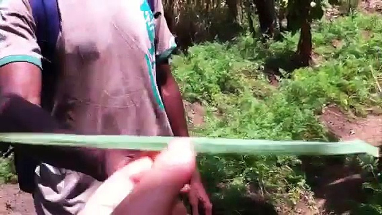 Kilimo Hai