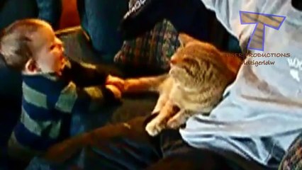 Funny babies annoying cats - Cute cat & baby compilation