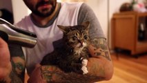 BUB DRIES