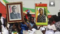 Cecil: Mugabe blames 'foreign vandals'