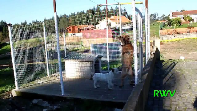 MIX Cadute e Incidenti 2012 ||YTC™】Paperissima 03