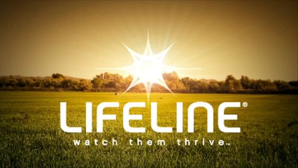 Newborn Calf Care: Testing Colostrum Quality with Brix Refractometer