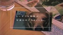 【CM 2004】FUJIFILM 企業CM 一枚の写真シリーズ 30秒×6