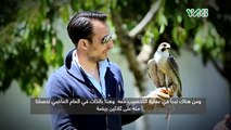 مزرعة الامارات فالكن برنامج الحضيرة قناة ياس الحلقة الاولى