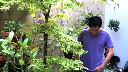 Arifin Putra Bocorkan Rahasia Chicco Jericho