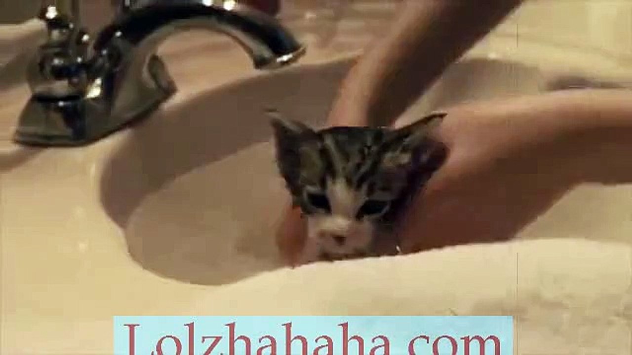 Mia's First Little Kitten Bath