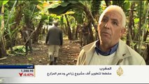 مخطط لتطوير ألف مشروع زراعي بالمغرب