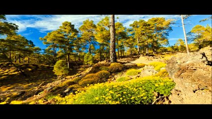 Eric Clapton - Let It Grow (2011 Remaster)