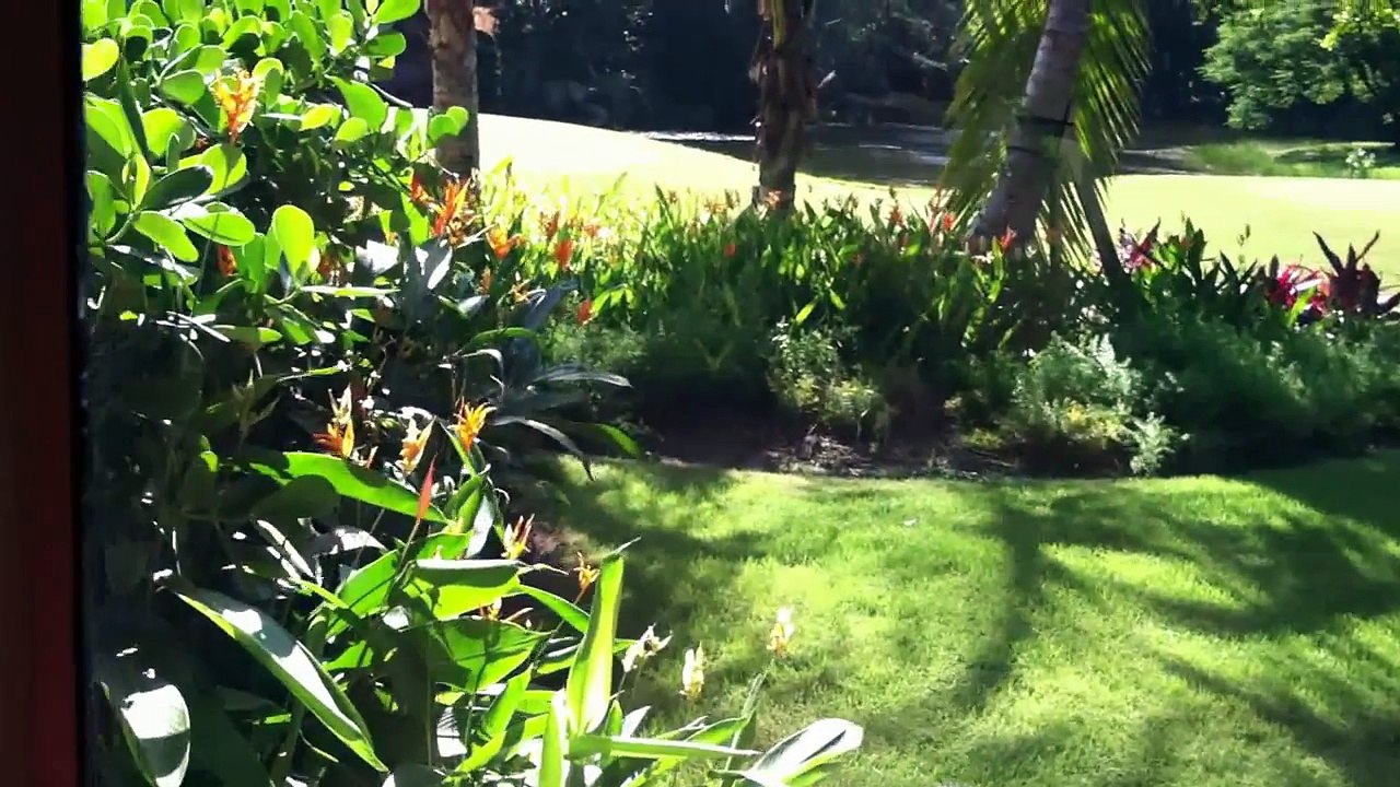 Puerto Rico - St. Regis