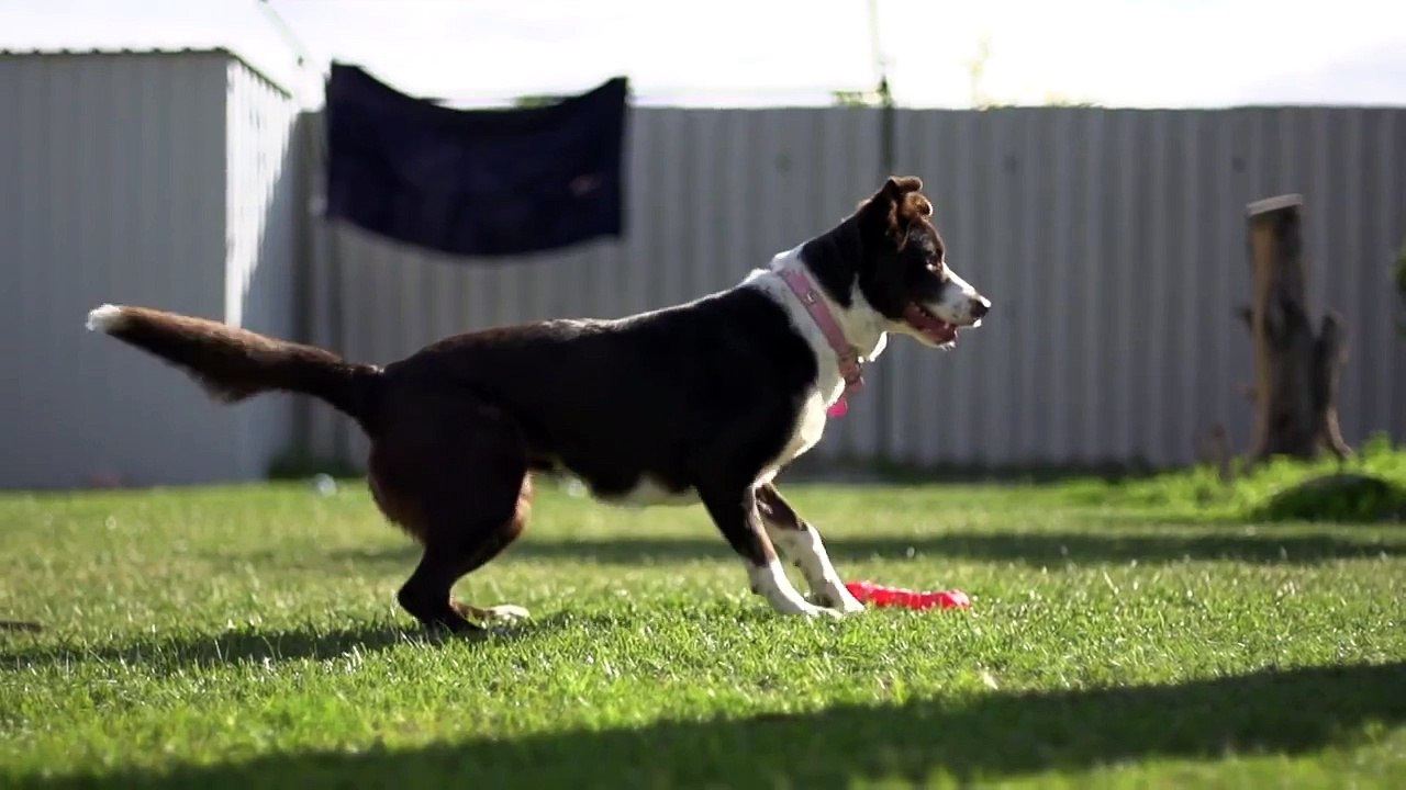 Crystal - Sony NEX-FS700 200FPS Super Slow Motion Test Footage
