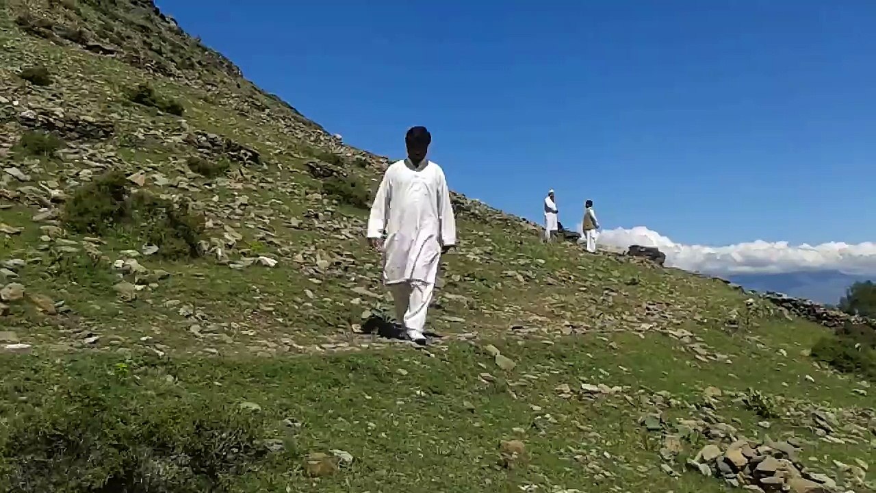 saeed tano 1