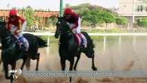 Libyan horse racing charges on despite the conflict