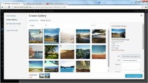 Smart Grid Gallery - Responsive WordPress Grid Gallery Plugin