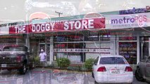 Doggy Store sells Brothers food
