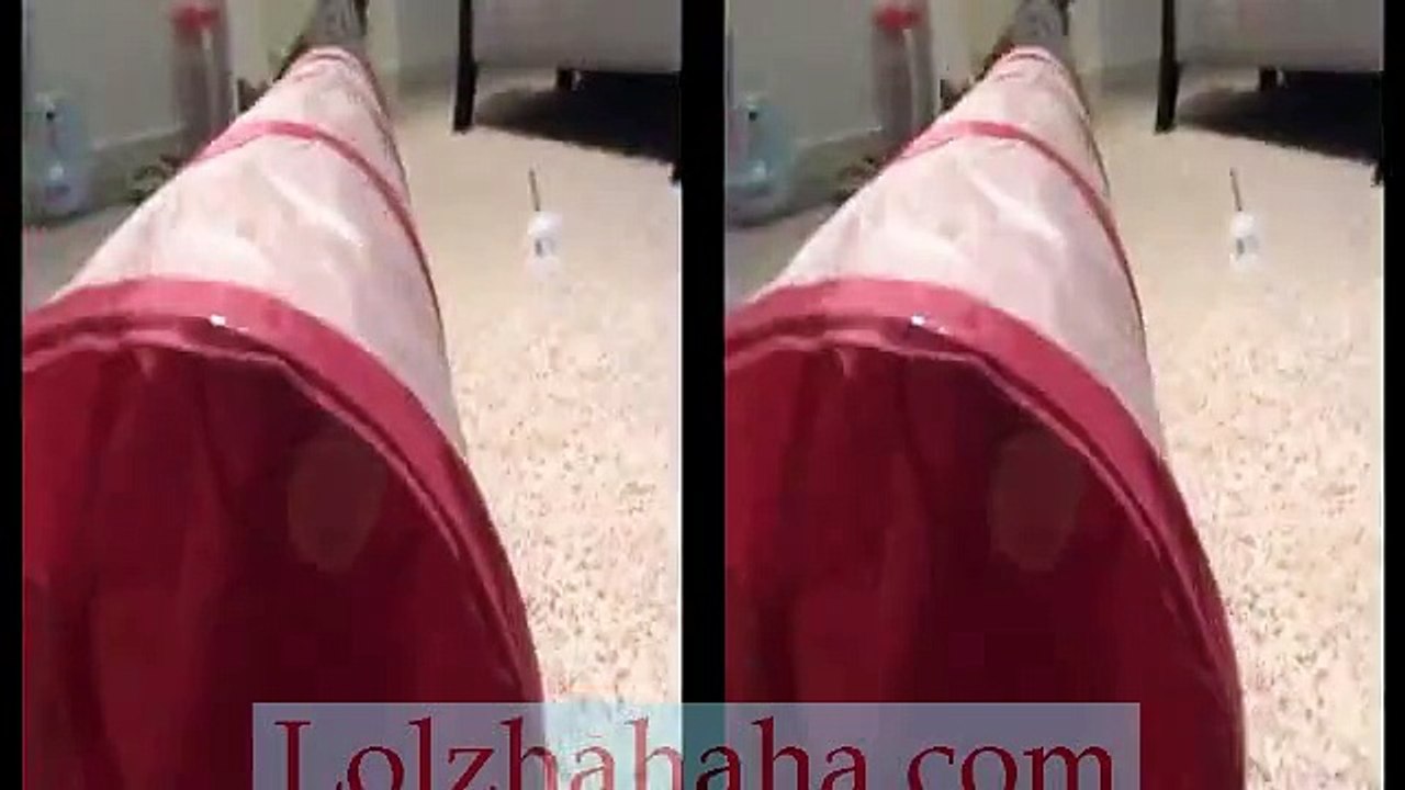 Oskar the Blind Kitten Tries Out Catnip Spray(3D)