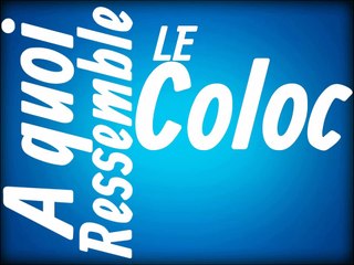 A quoi ressemble le coloc parfait ?