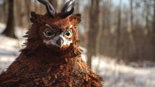 CGI Creating of HD: Owly Feathers in Houdini