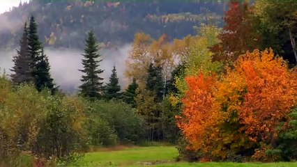 Charlevoix Horse Riding Quebec