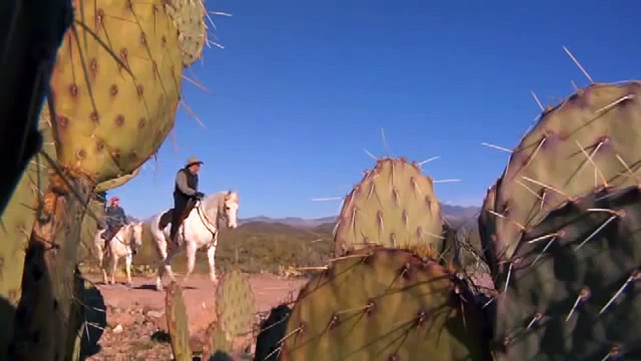 Bradshaw Mountains Horse RIding, Arizona