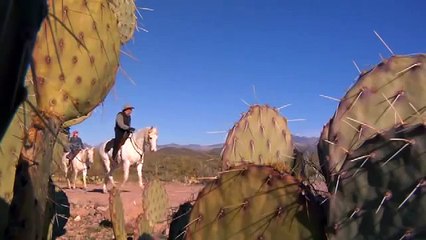 Bradshaw Mountains Horse RIding, Arizona