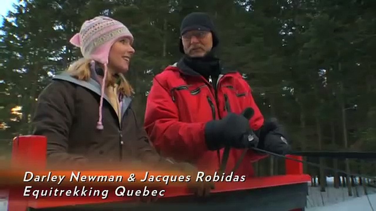 Driving a Horse Drawn Sleigh