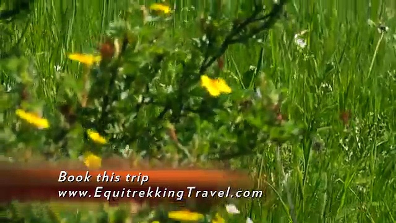 Equitrekking Travel Canadian Rockies Vacation